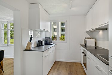 Küche mit Mikrowelle, Backofen, Kaffeemaschine, Kochfeld - Wohnung - Emmenbrücke